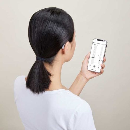 Lexie B1 Powered By Bose Prices, Reviews and Sound Samples Soundly